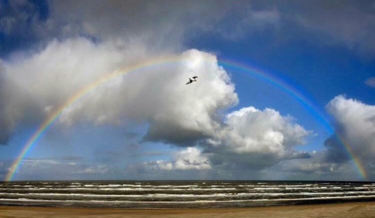 Appartement Zuyd Zandvoort Kültér fotó